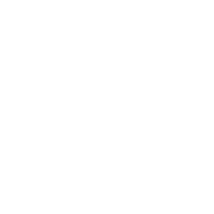 Icono artista